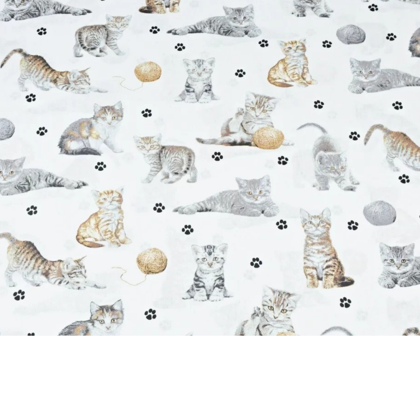 Coupon 50x50cm - Tissu coton Motif chats