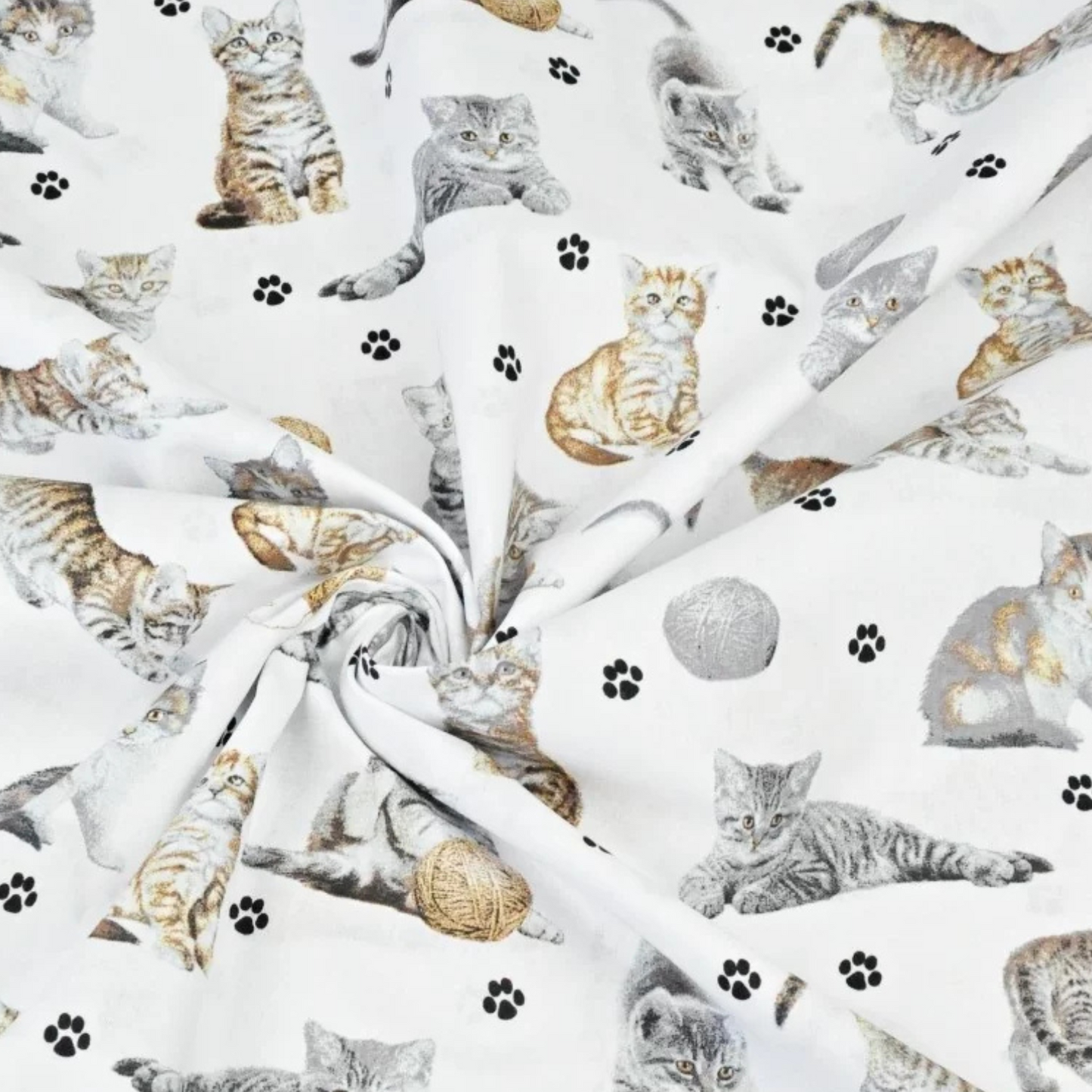 Coupon 50x50cm - Tissu coton Motif chats