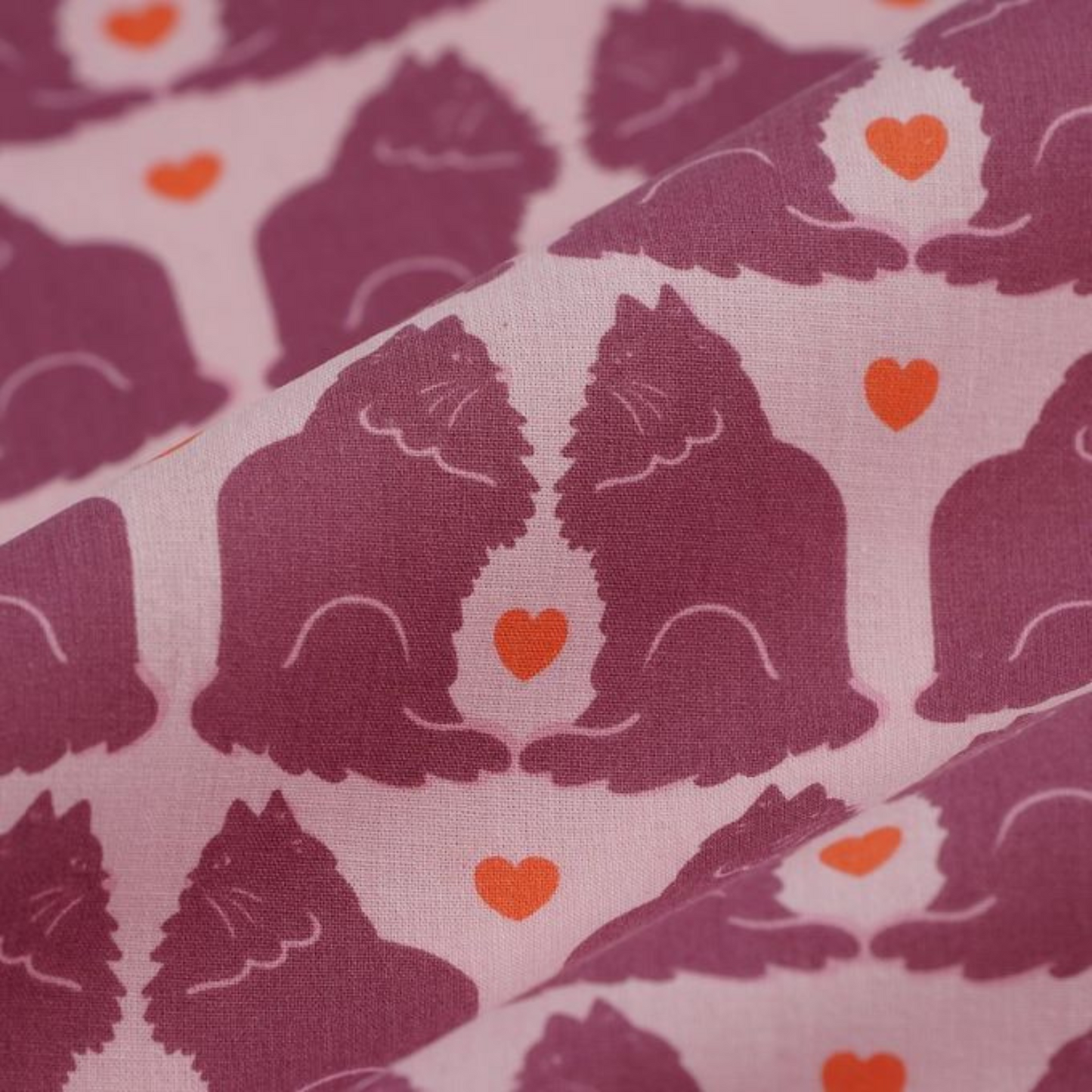 Coupon 50x50cm - Tissu coton Motif chats