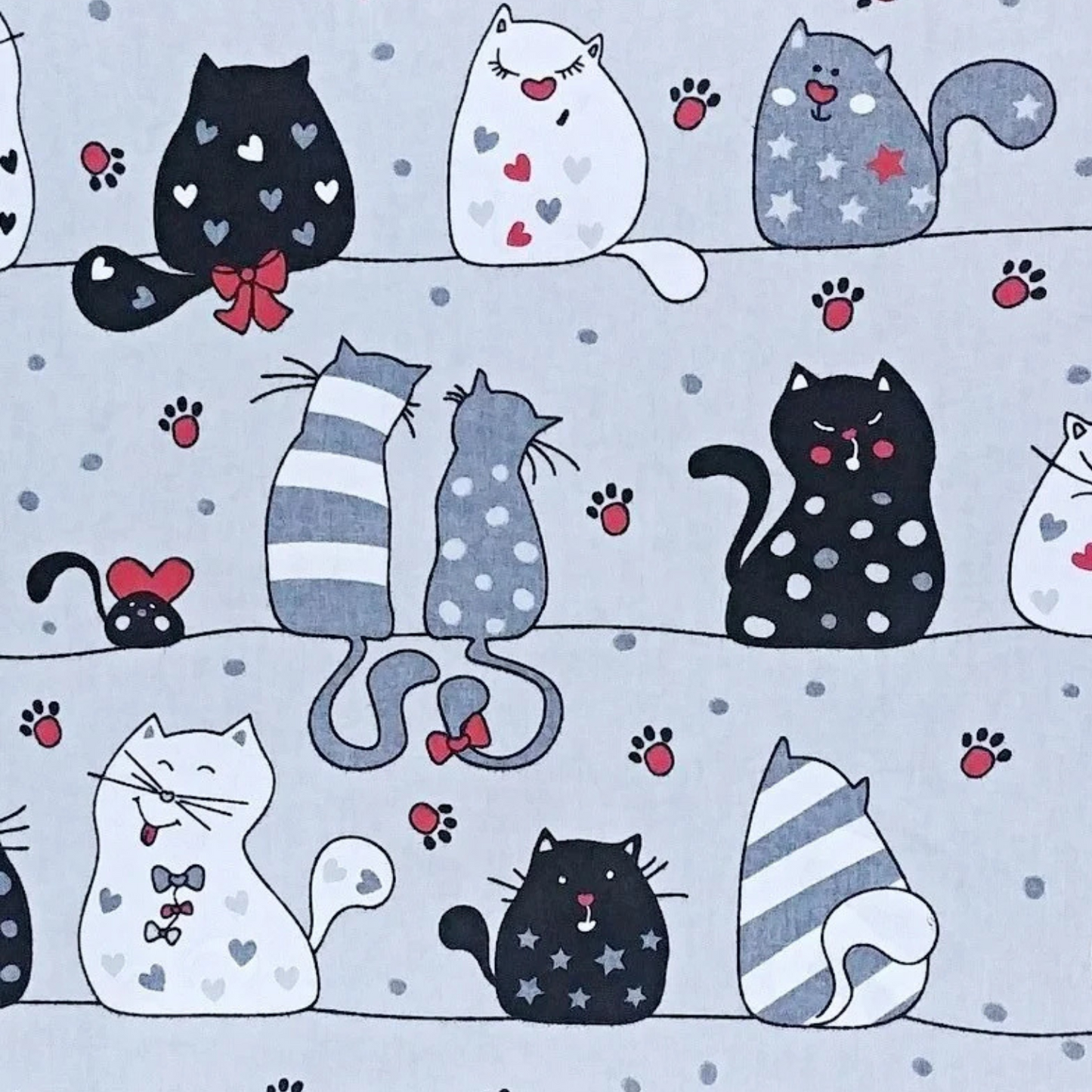 Coupon 50x50cm - Tissu coton Motif chats