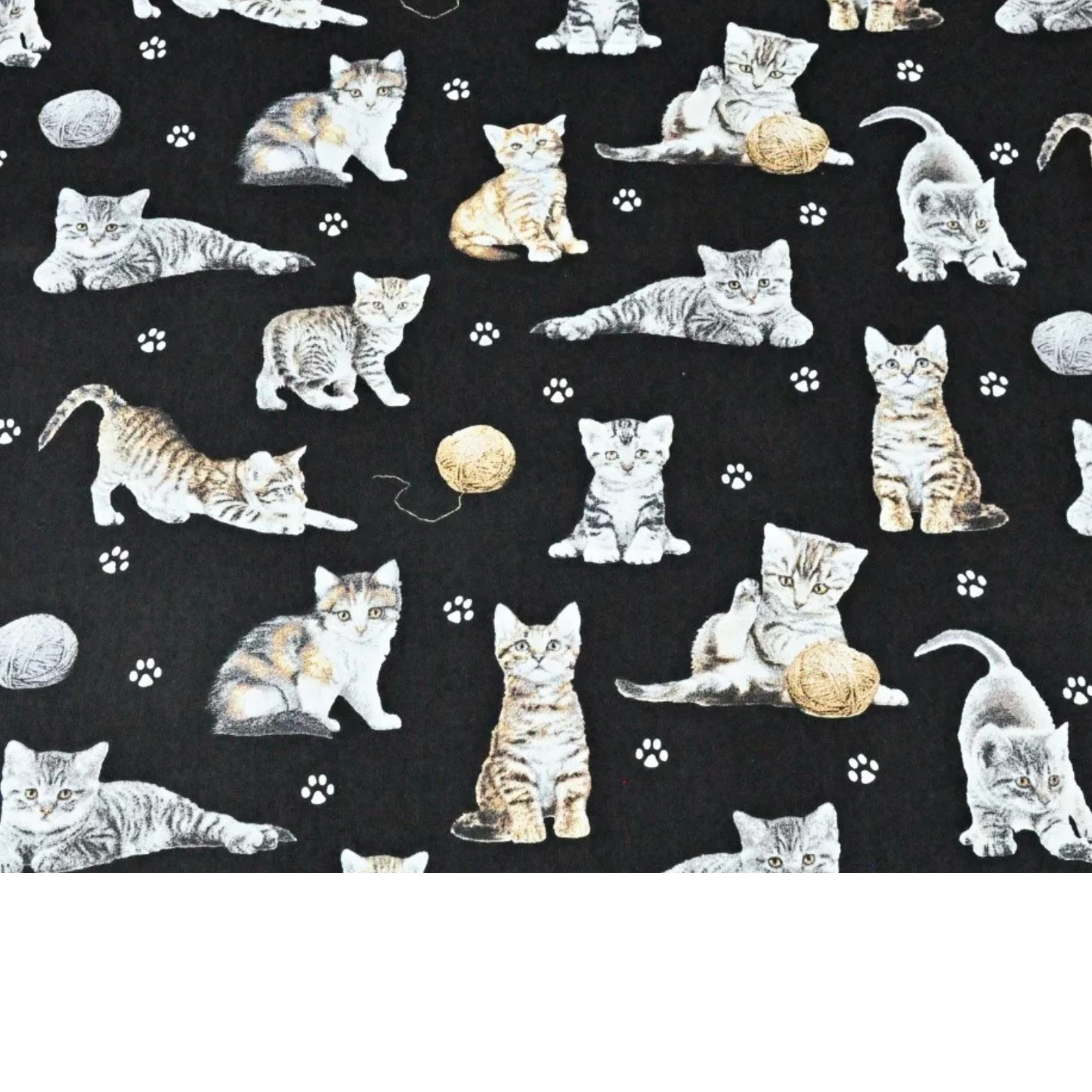 Coupon 50x50cm - Tissu coton Motif chats