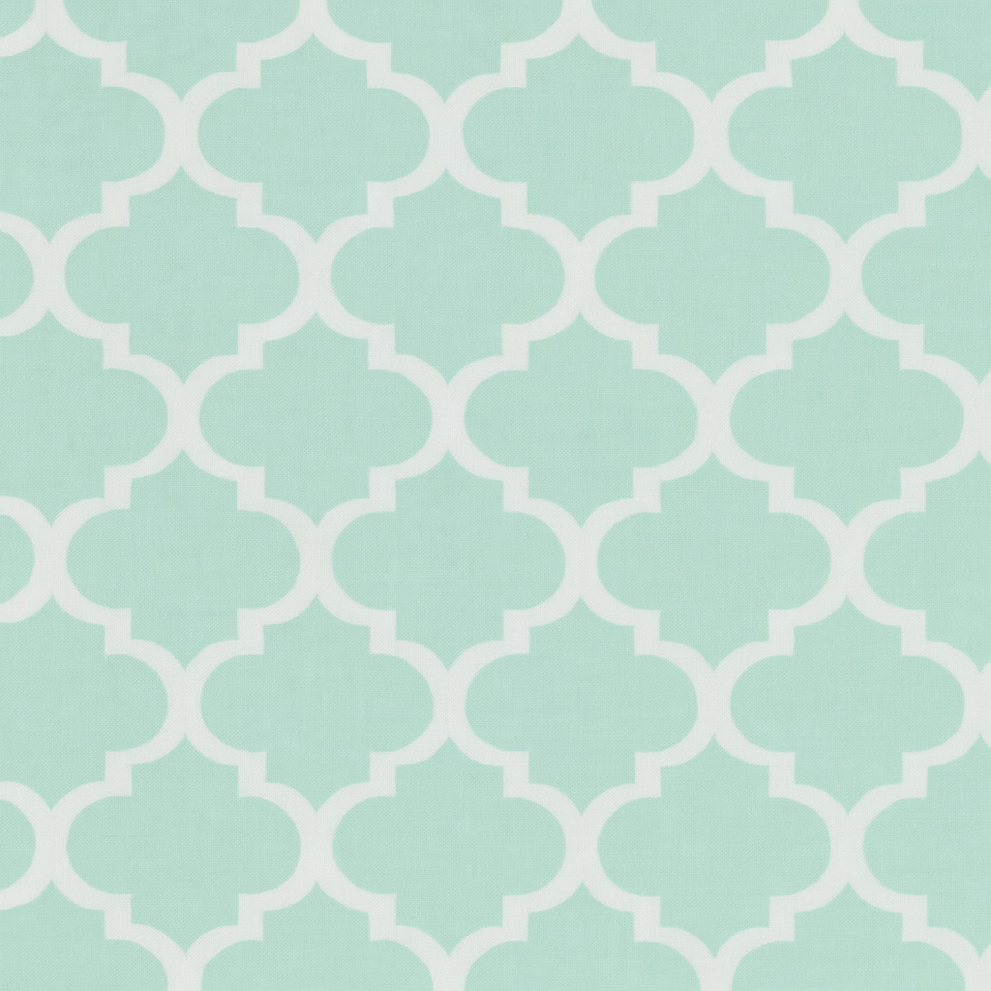 Coupon 45x45cm - Tissu coton Motif menthe/blanc